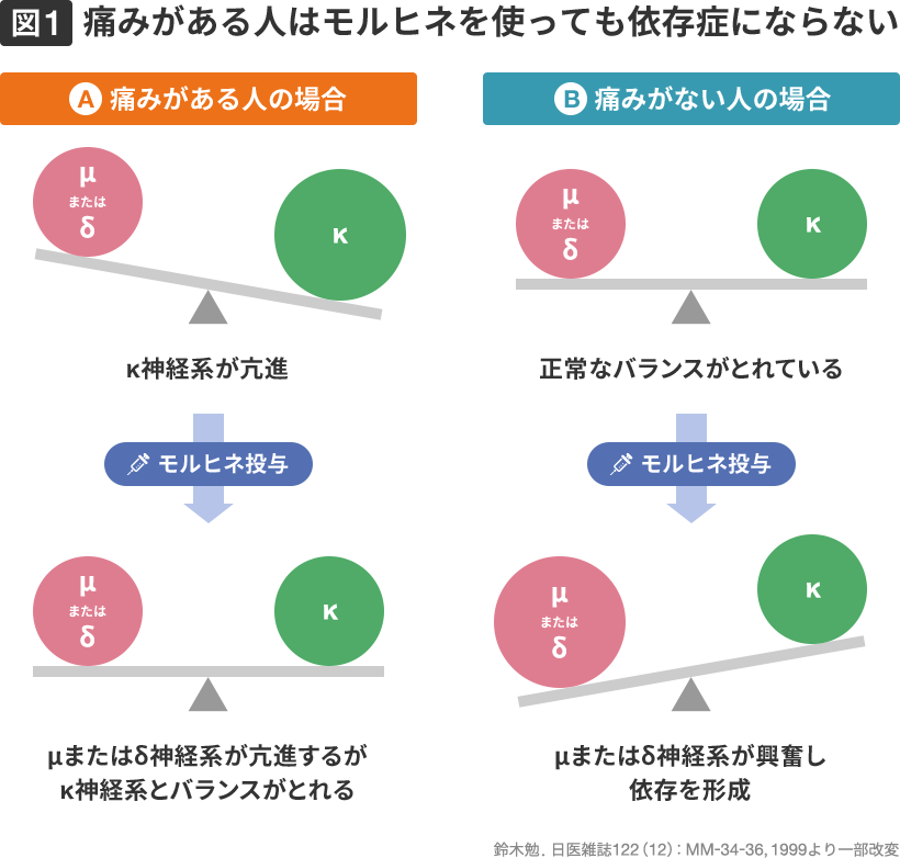 痛みがある人と痛みがない人のモルヒネ投与時のバランスを比較した図